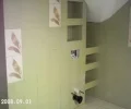 Zdjęcie z galerii