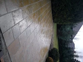 Zdjęcie z galerii